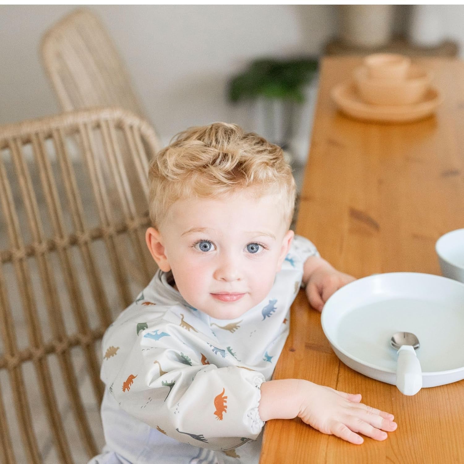 Long Sleeve Bib for Babies & Toddlers | Waterproof Smock Bib for Eating | Machine Washable & Mess-Proof Feeding Essentials | Newborn Shower Gift (Dinosaur, 2-4Y)